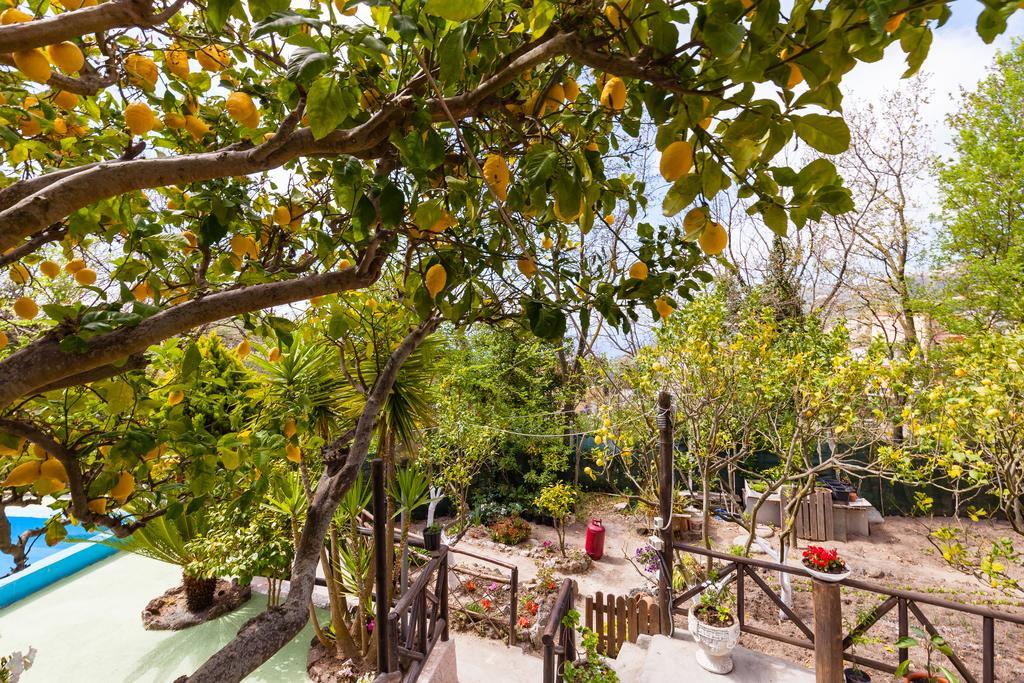 Nitrodi Experience Pensionat Barano dʼIschia Eksteriør billede